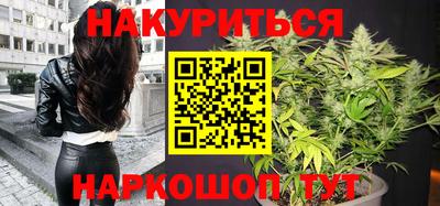 spice Гатчина