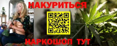spice Гатчина