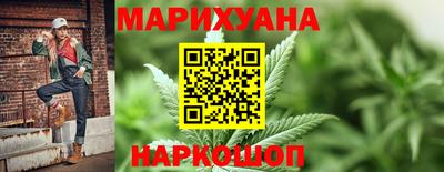 крисы Гай