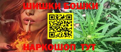 крисы Гай
