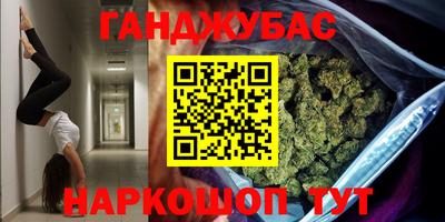 крисы Гай