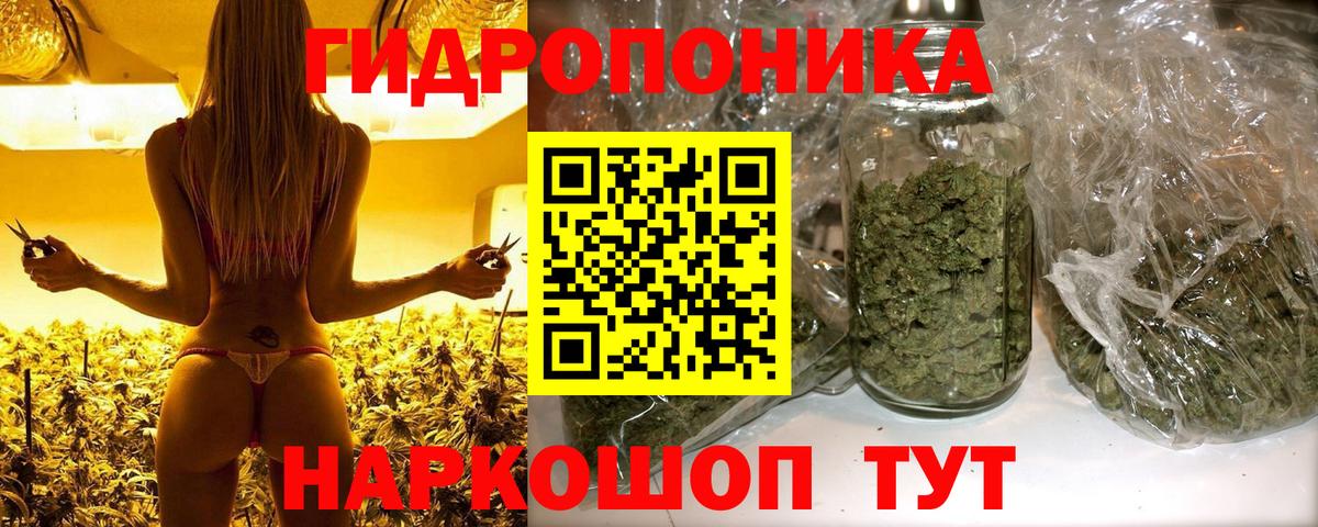 Бошки марихуана AK-47  Каннабис ГИДРОПОН  Конопля семена  Вход с VPN  Гусиноозёрск 